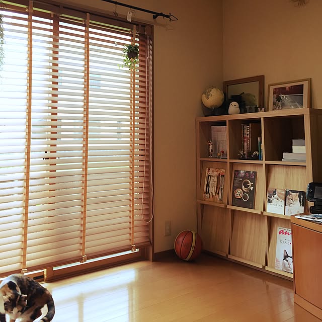 mayugonさんの実例写真