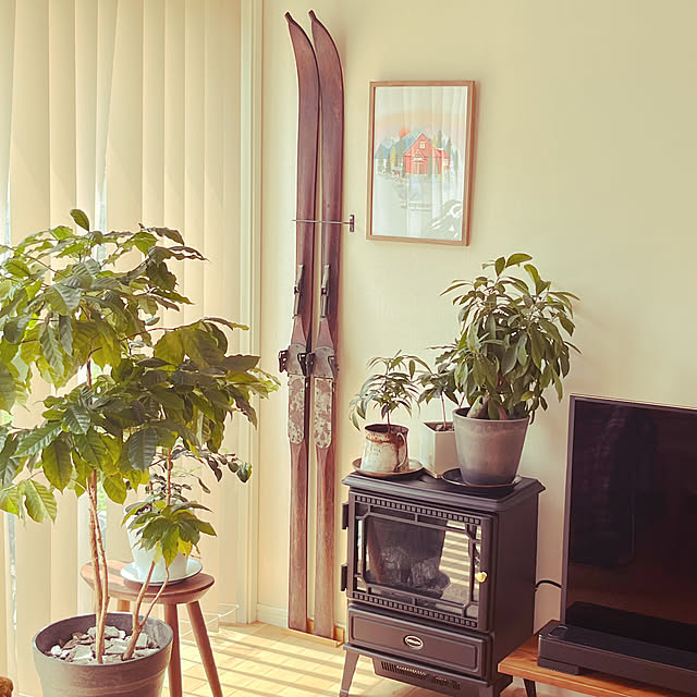 mikigumaさんの実例写真