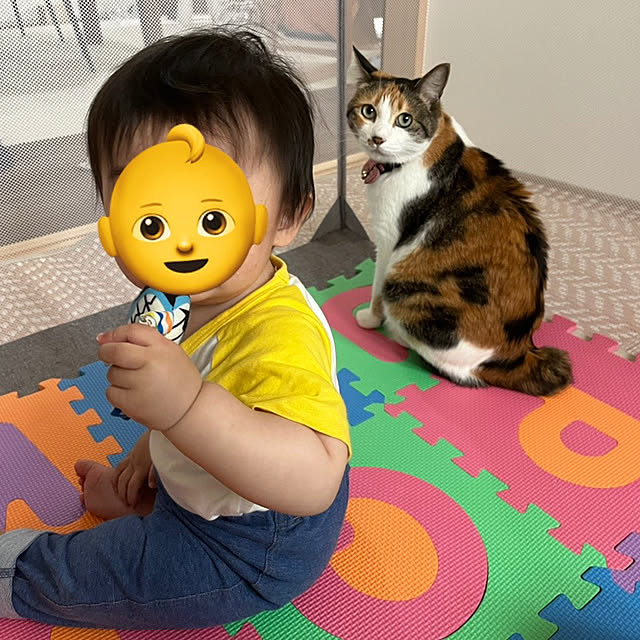 Misakiさんの実例写真