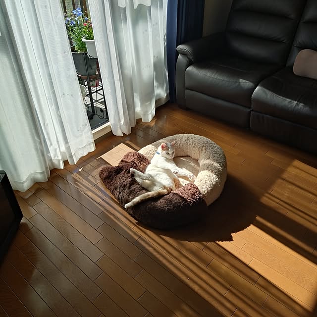NOAHさんの実例写真