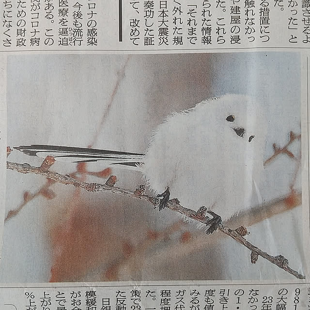 Rさんの実例写真