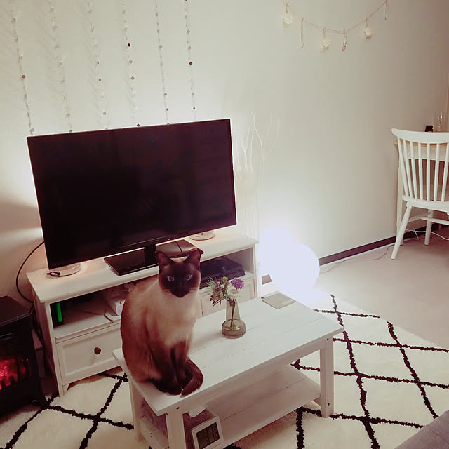 Akikoさんの実例写真