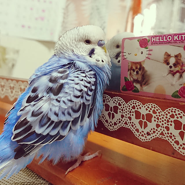 sueponさんの実例写真