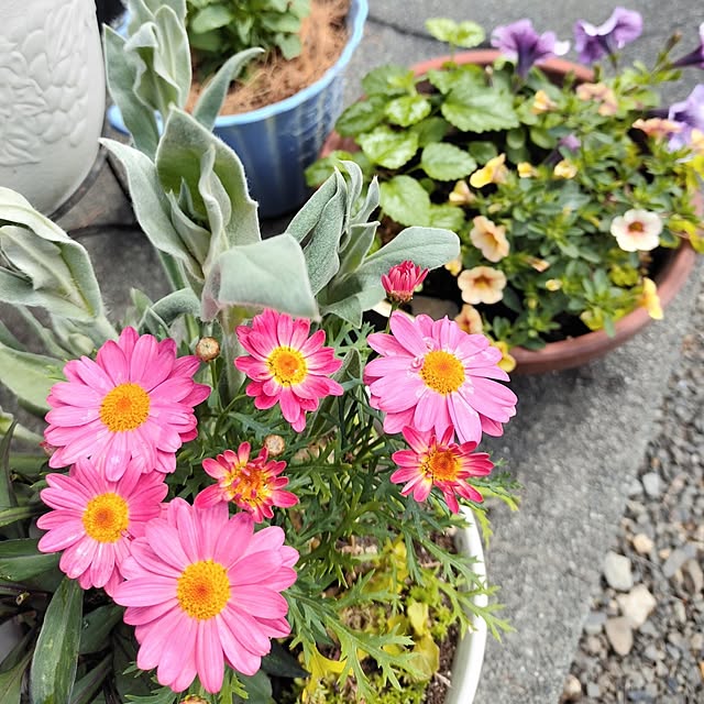 kiraさんの部屋