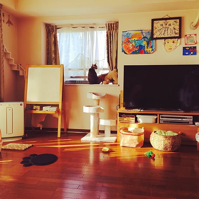 mayumiさんの実例写真