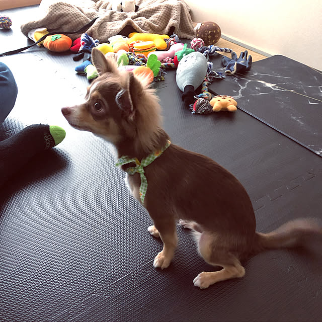 chocoさんの実例写真
