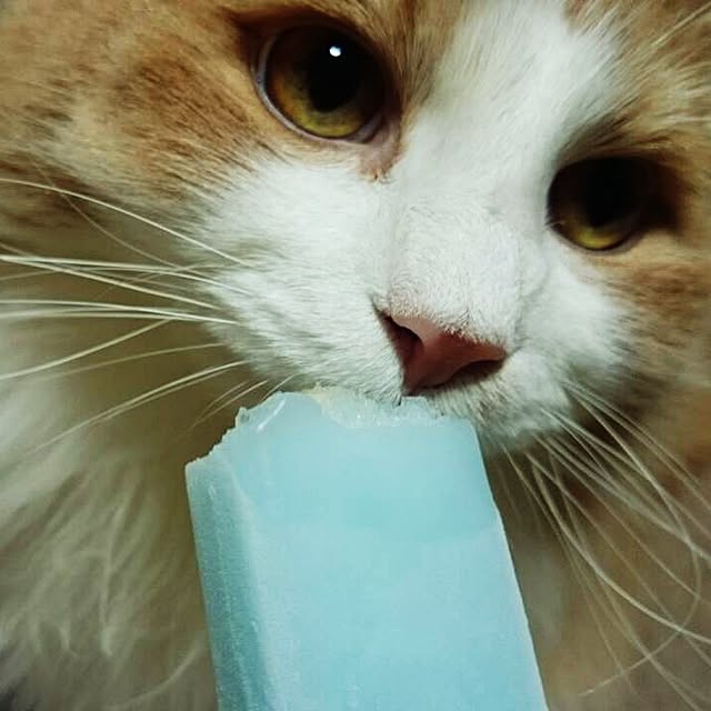 mirinさんの実例写真