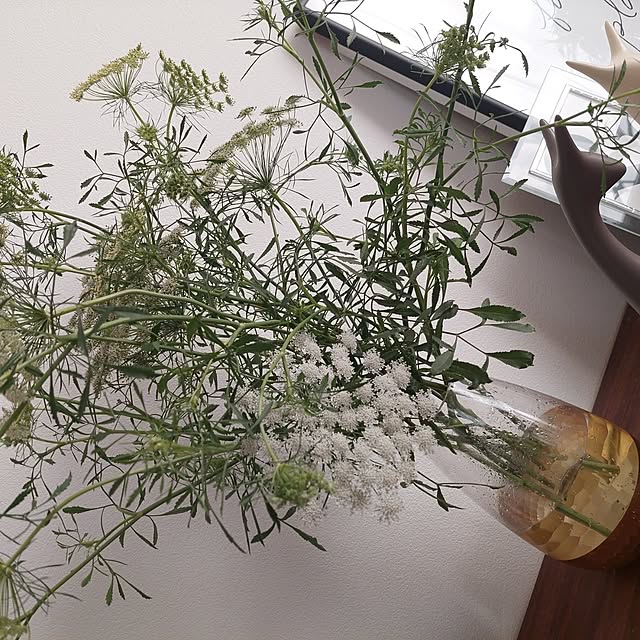 anmomaruさんの部屋