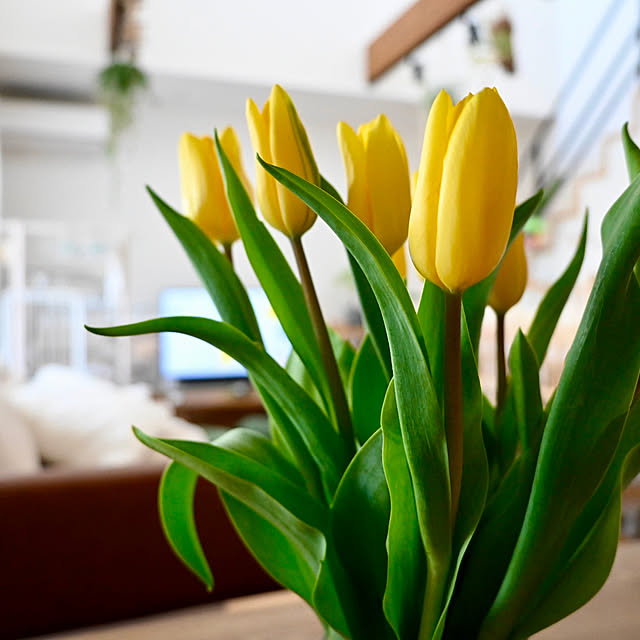 y.tora5さんの実例写真