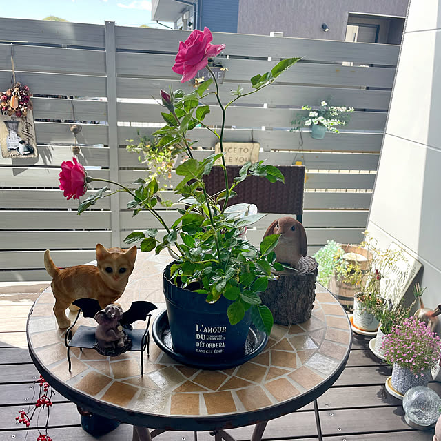 machaさんの部屋