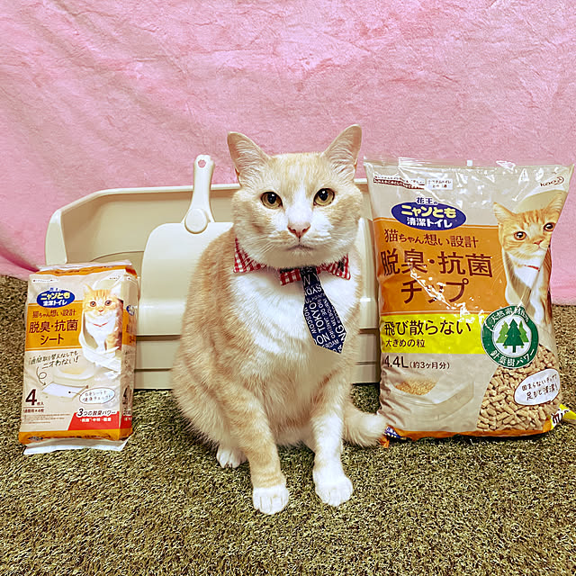 ike2910さんの実例写真