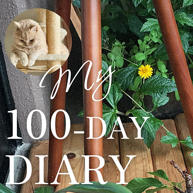 naokoさんの部屋