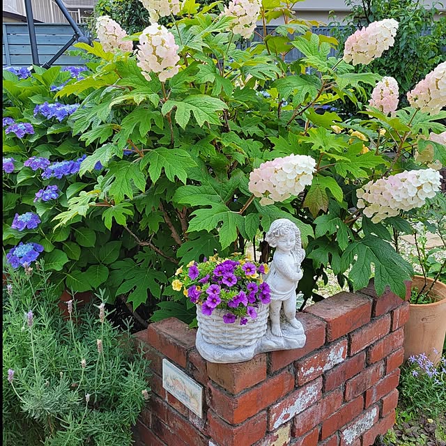 clematis_mischaさんの部屋