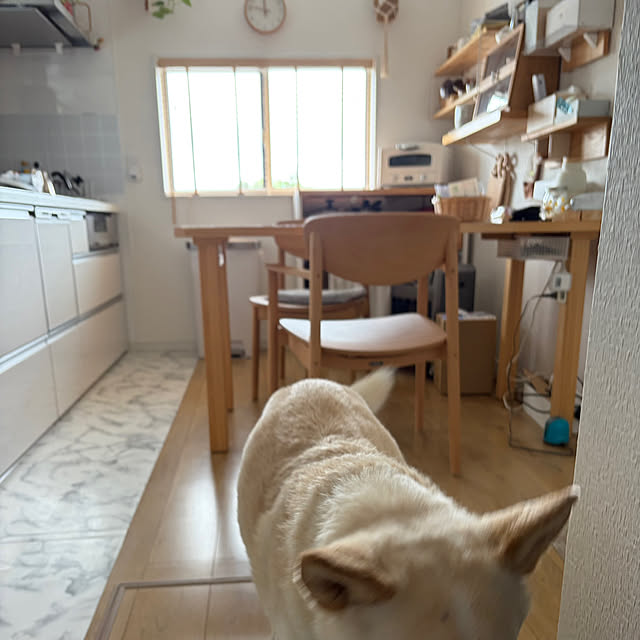 tanboさんの部屋