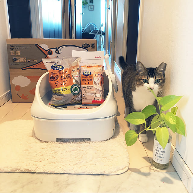nekomiさんの実例写真