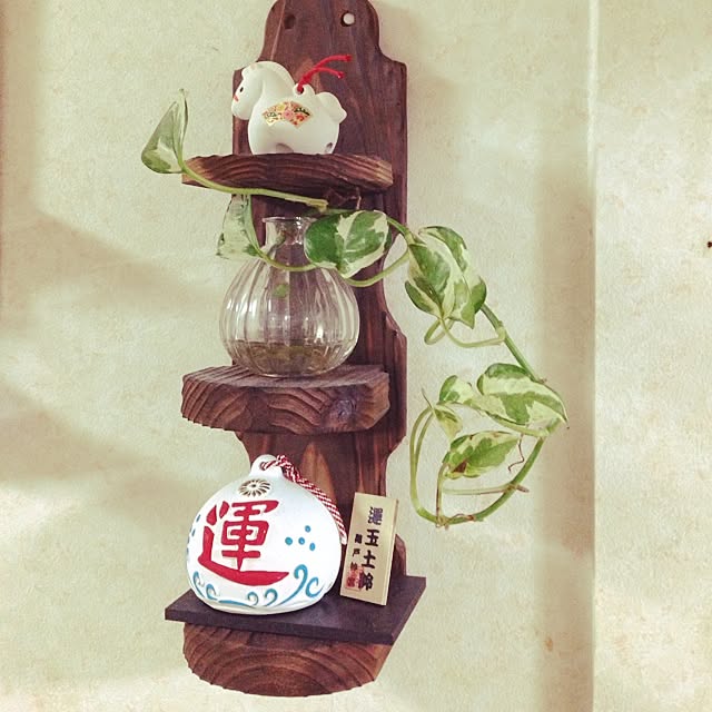 nikoriさんの実例写真