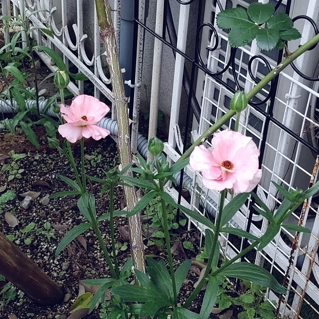 Bienvenueさんの部屋