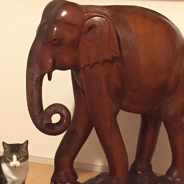 yukarin0127さんの実例写真