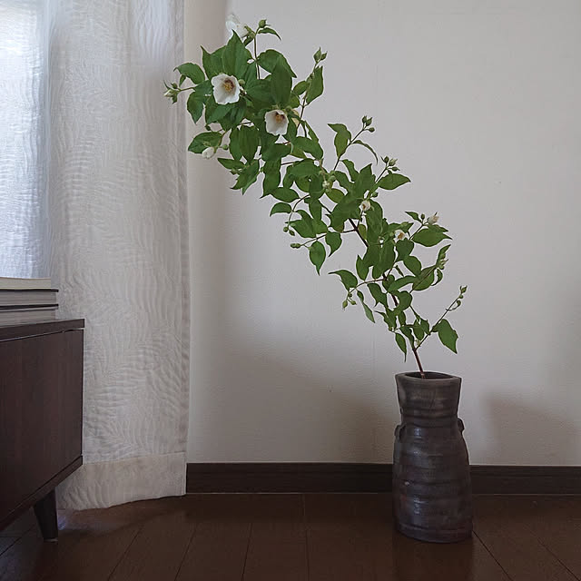 kakkaさんの実例写真