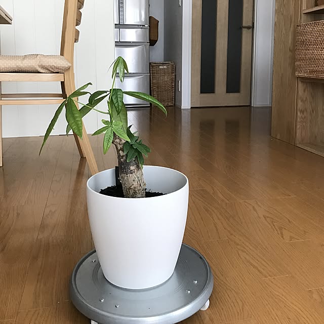 pontaさんの実例写真