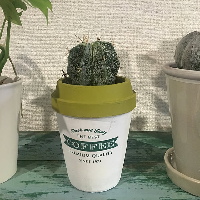tetra163さんの実例写真