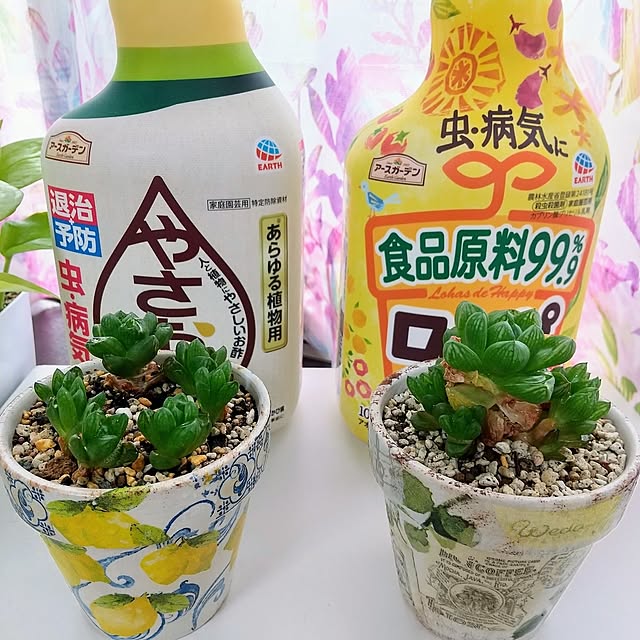 meiさんの実例写真