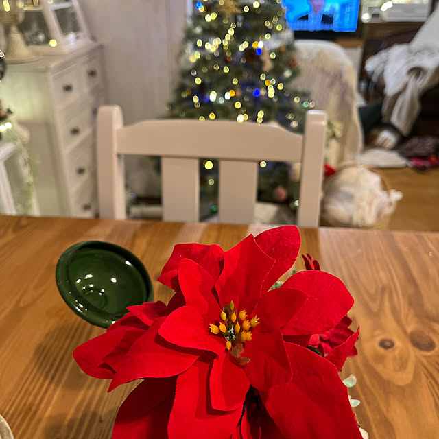 Atsukoさんの部屋