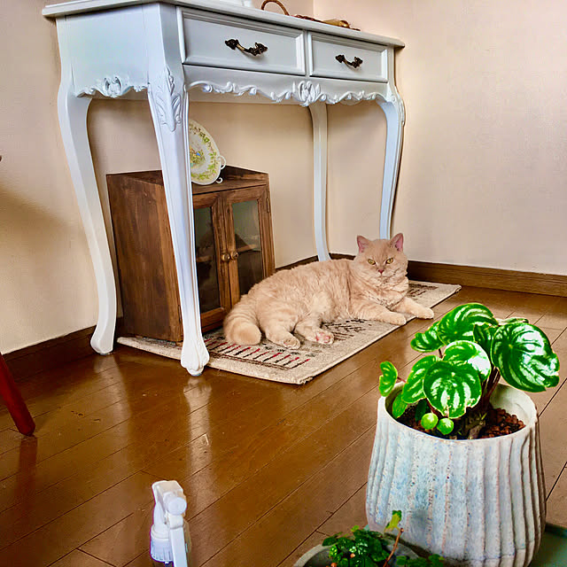 naokoさんの部屋