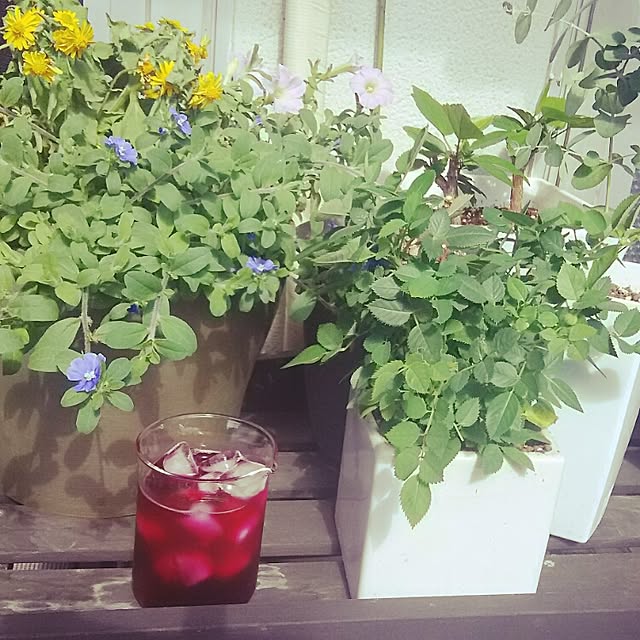 32aloalo0526さんの実例写真
