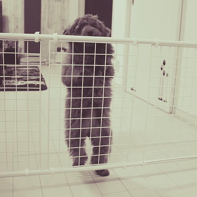 t.taekoさんの実例写真
