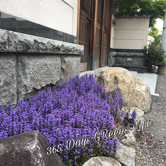 Akiraさんの実例写真