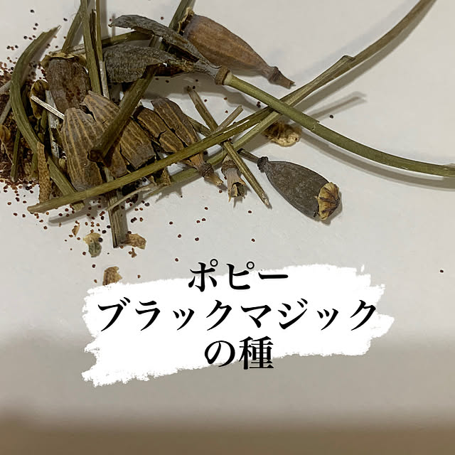 Fumiさんの部屋