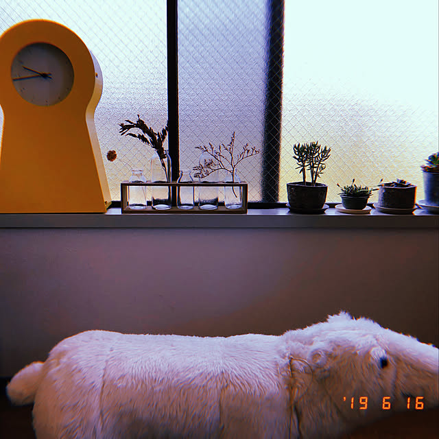 yuzuさんの実例写真