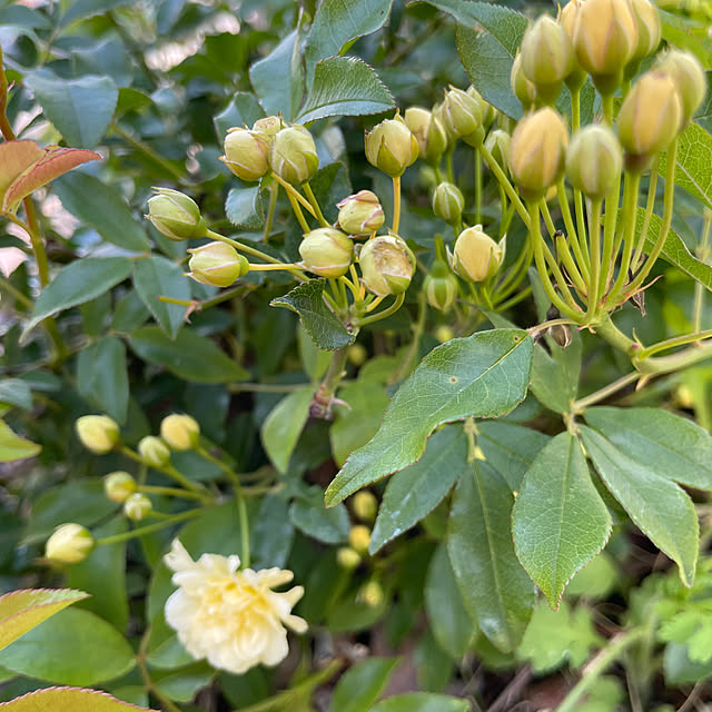 Andaluciaさんの部屋