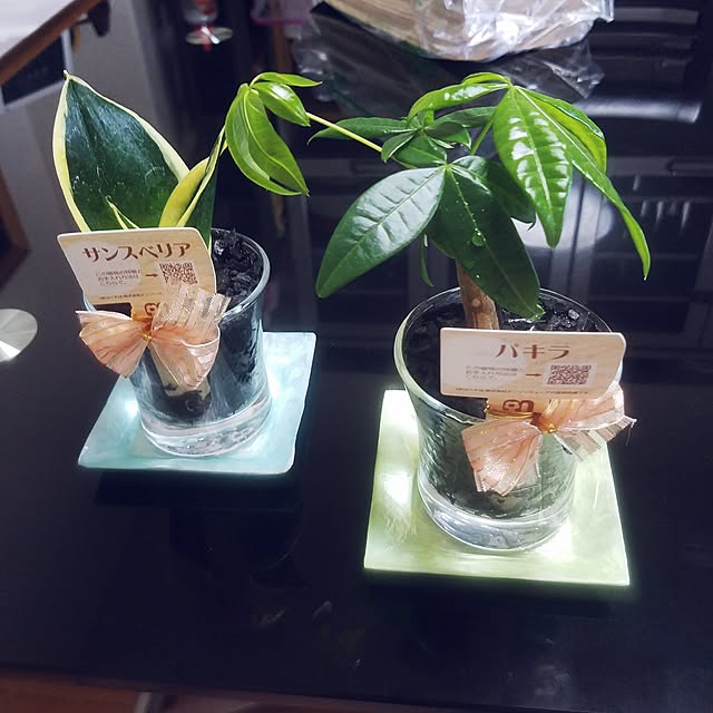miyocoさんの実例写真
