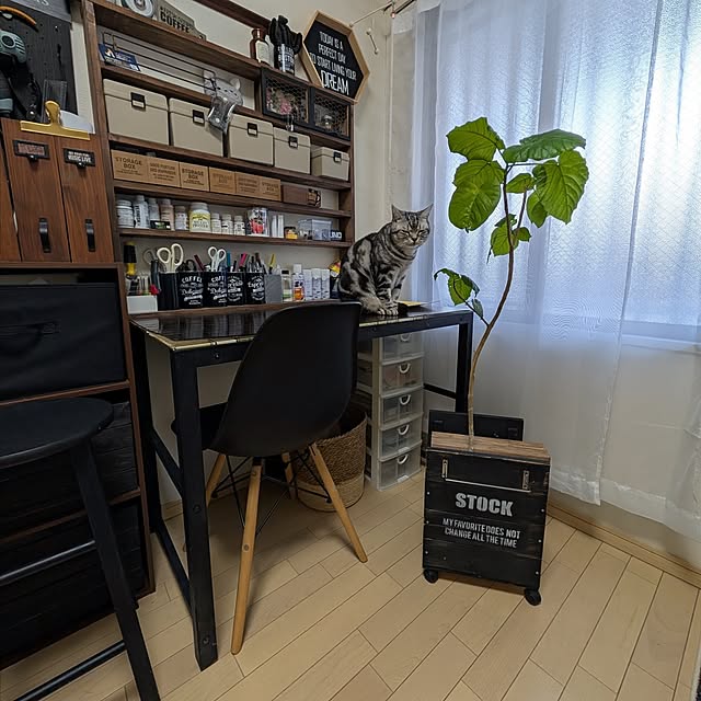 lovepeaceさんの部屋