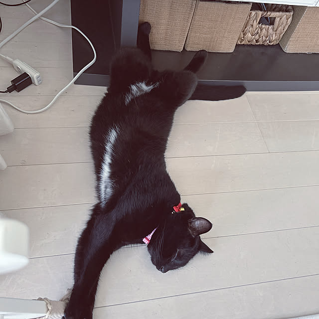 nekomiさんの部屋