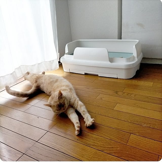heart.emiemi57.whiteさんの実例写真