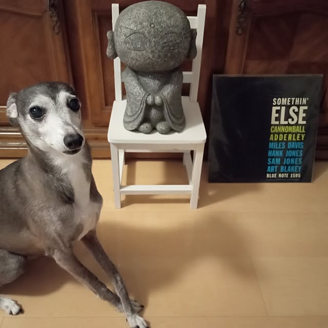 moruさんの部屋