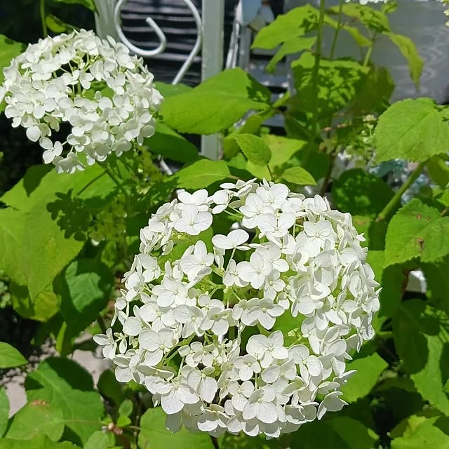 aiさんの部屋