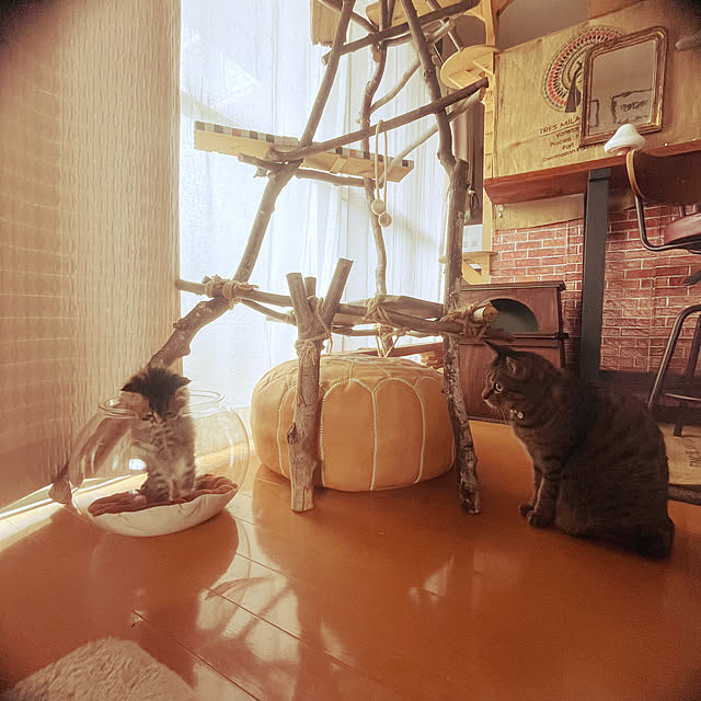 Mさんの部屋