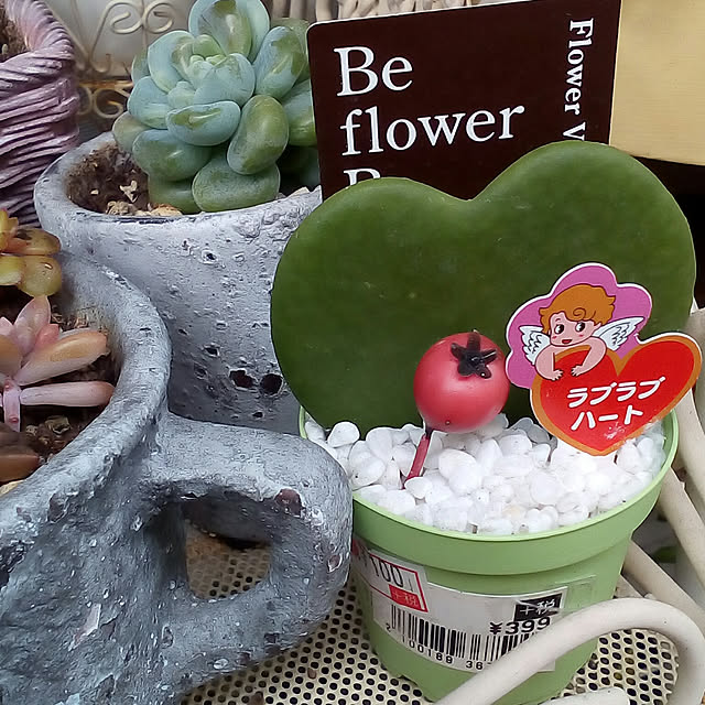 mariagardenさんの実例写真