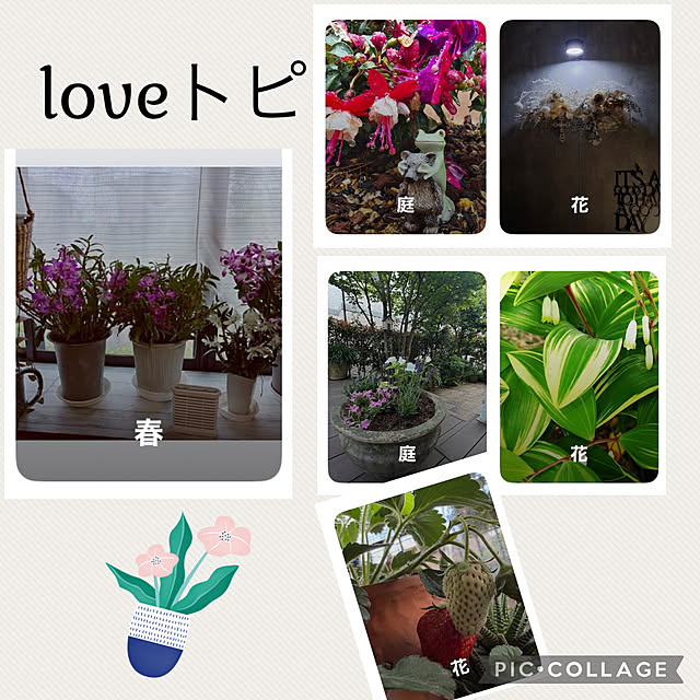 CoCo0617さんの実例写真