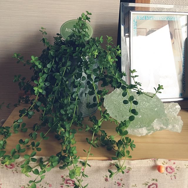 mintさんの実例写真