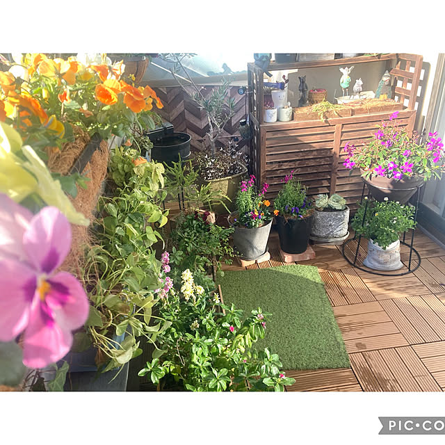 marukoさんの部屋