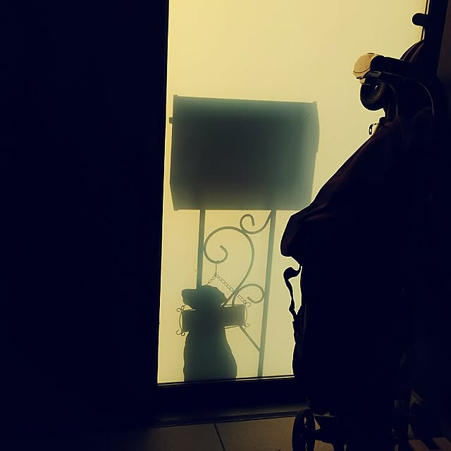 aikaさんの実例写真