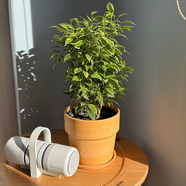 amさんの実例写真