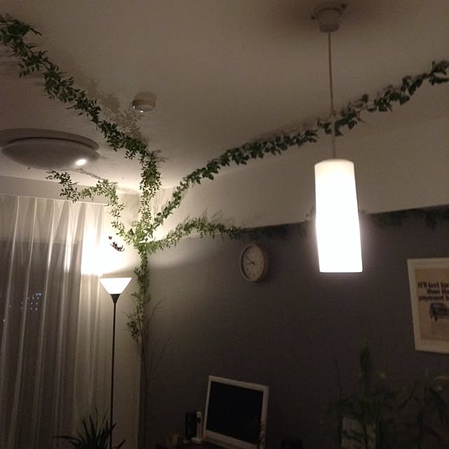 8249kozkさんの実例写真