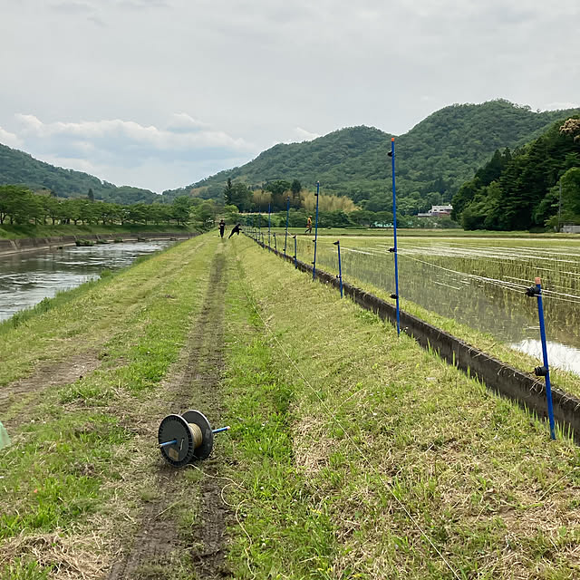 cota2さんの実例写真