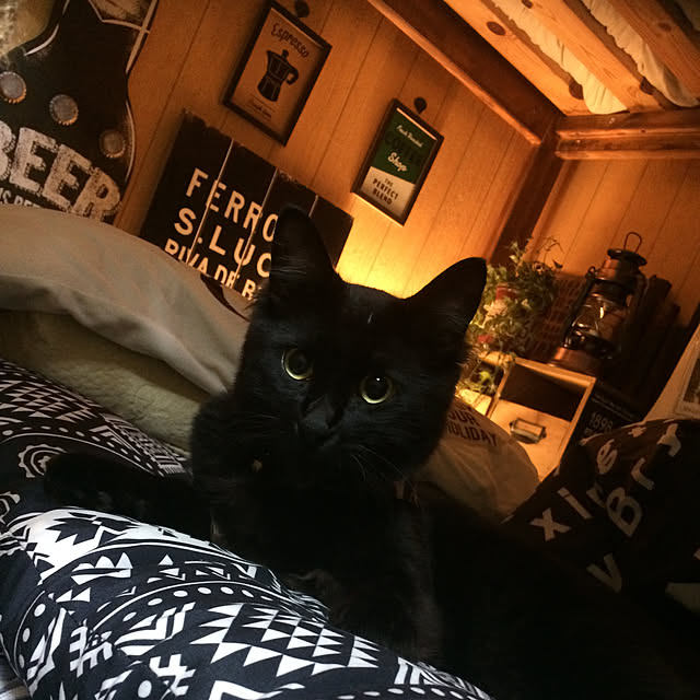 chocolatさんの実例写真